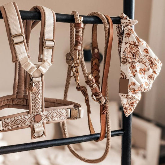 Set ham si lesa premium pentru caini culoare bej