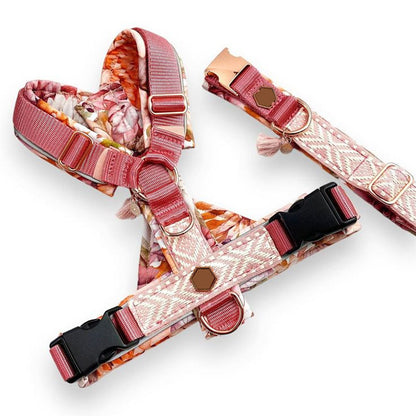 Ham premium pentru câini + lesă asortată 2