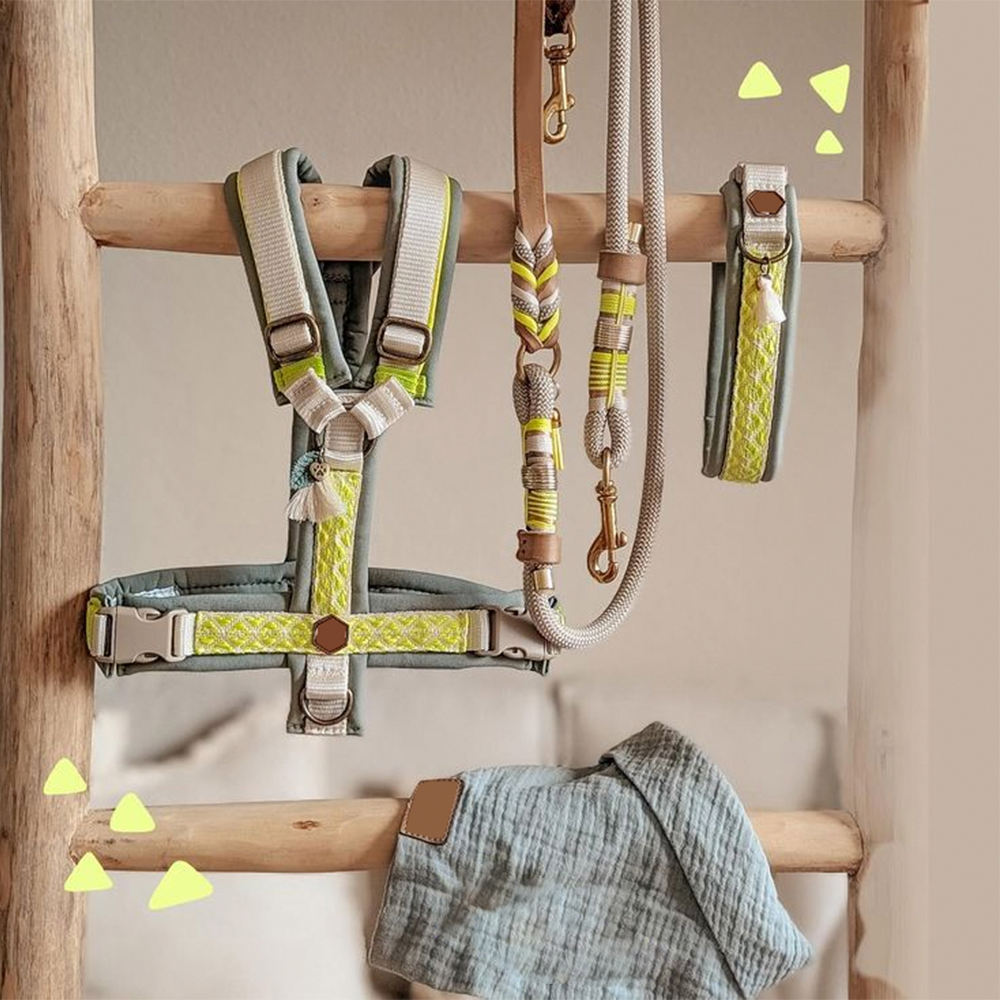 Lesa rezistenta asortata cu design modern