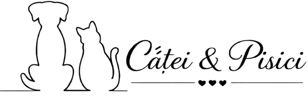 Catei si Pisici